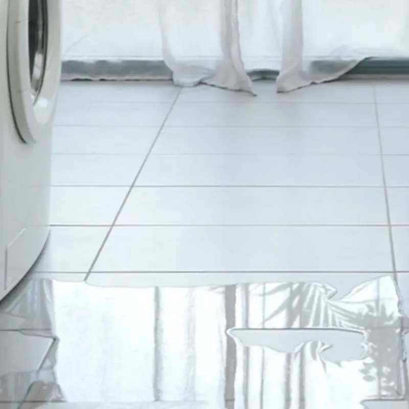 Appliance Leak Cleanup in Black Diamond, WA