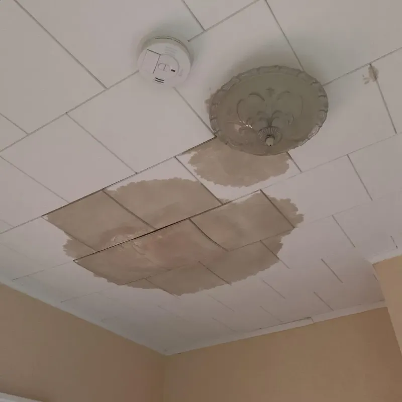 Ceiling Water Damage Repair in Black Diamond, WA