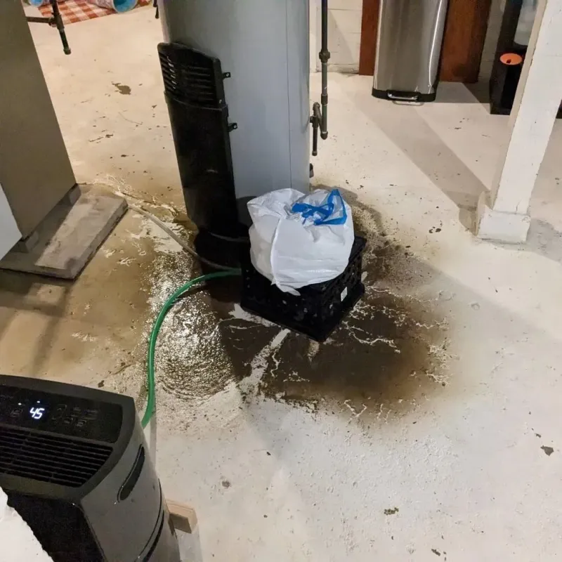 Sewage Backup Cleanup Service in Black Diamond, WA